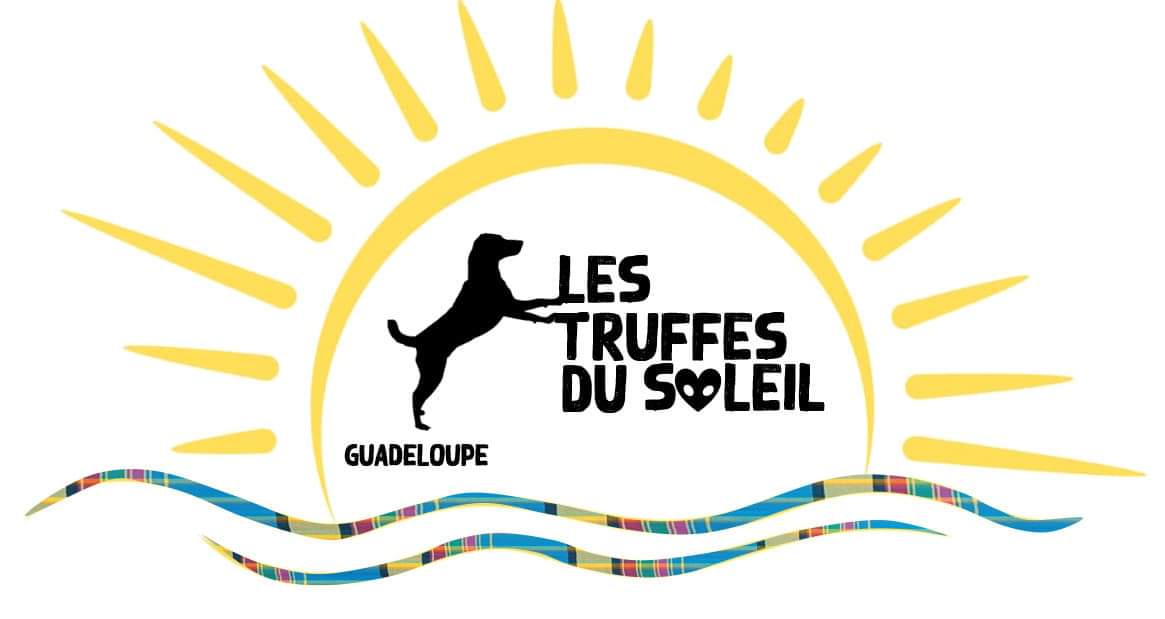 Nouveau partenariat association : Les Truffes du Soleil