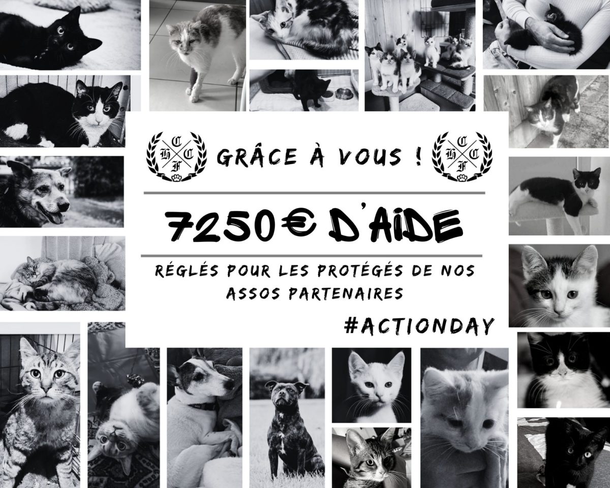*** ACTION DAY : AIDE A NOS ASSOCIATIONS PARTENAIRES ***